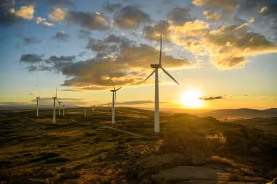 More efficience, less green-washing.